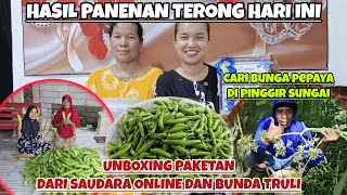 Download Lagu CARI BUNGA PEPAYA \u0026HASIL PANENAN TERONG HARI INI‼️UNBOXING PAKETAN DARI SAUDARA ONLINE \u0026 BUNDA TRULI MP3