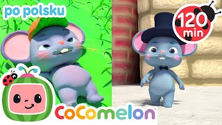 Mysz wiejska i mysz miejska | CoComelon po polsku 🍉🎶 Piosenki dla dzieci