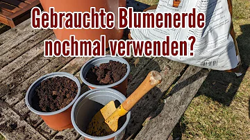 Kann man Blumenerde für Erdbeerpflanzen verwenden?