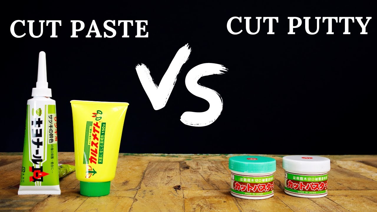 putty คือ  Update 2022  What Is Bonsai Cut Paste And Cut Putty