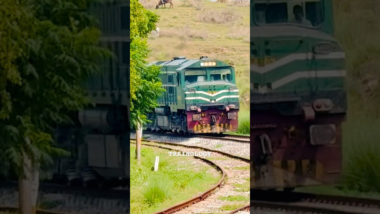 8dn Tezgam Passing Kaluwal|Trainology|