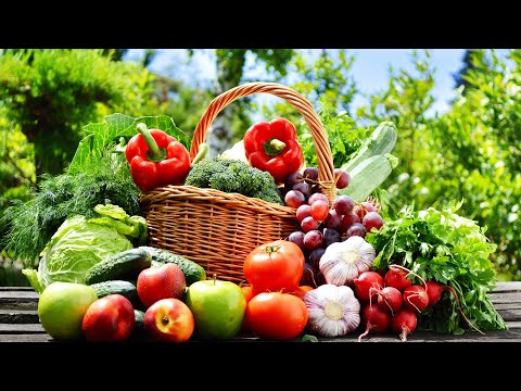 comme-on-fait-son-jardin---le-potager-de-a-à-z-:-choix-des-légumes
