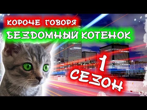 Видео: Как открыть страницу потерянных питомцев в вашем городе