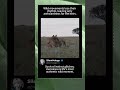 Wild movements lose their rhythm, leaving only awkwardness for the heirs.#fyp #animals #memes