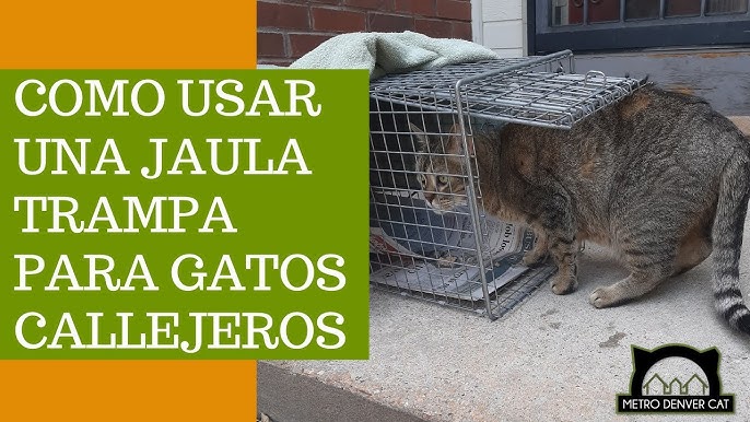 COOSEON Trampa Jaula Grande de Animales Vivos, Trampa para Gatos