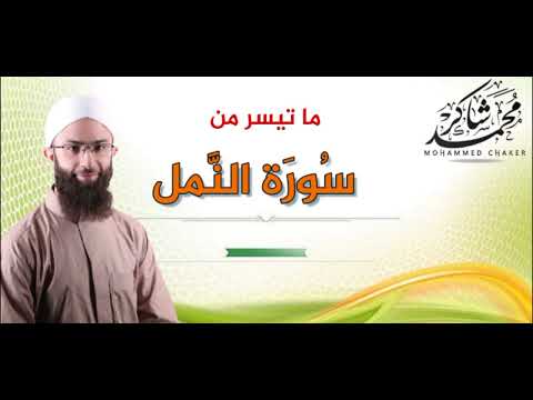ما تيسر من سورة الن مل محمد شاكر