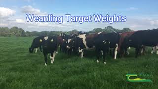 Weanling target weights