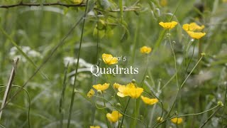 Wild Things - Tutorial 5 - Quadrats