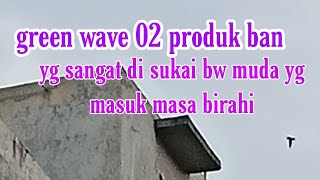 berbagi sp jadul yg di senangi walet muda yg mencari pasangan