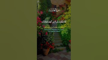 #سورة_الغاشية #عبدالباسط_عبدالصمد #قرآن #قران_كريم #القرآن_الكريم #تلاوة_خاشعة #guidedbyalquran 📖🌷