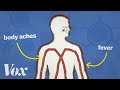 Understanding Vaccines and Immunity