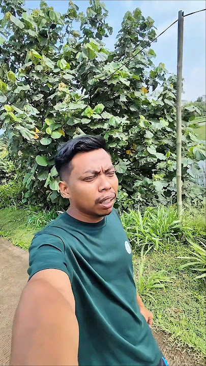 noisy, noisy, noisy #comedy #funny #laughing #ngapak