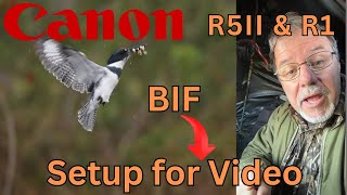 Canon R5 Mk. II and R1 Video Setup - Birds in Flight