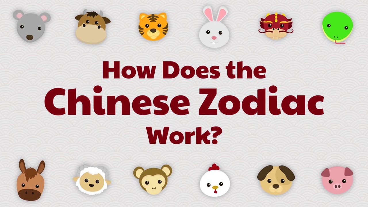 How Does the Chinese Zodiac Work? YouTube