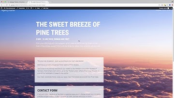 Displaying a Single Post - Part 4 - Creating WordPress Themes without PHP Coding