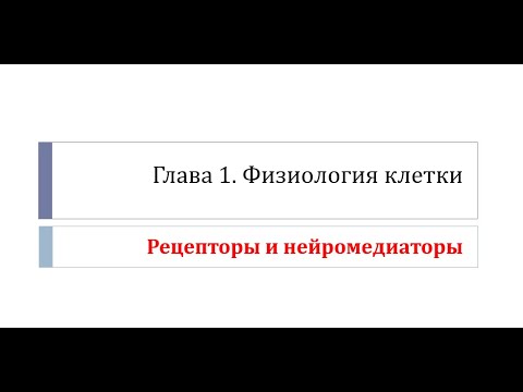 Физиология. Глава 1. Клетка. Урок 4. Рецепторы и нейромедиаторы