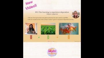 The New Neuroscience of Learning: Top 5 Developmental Potentials Revealed