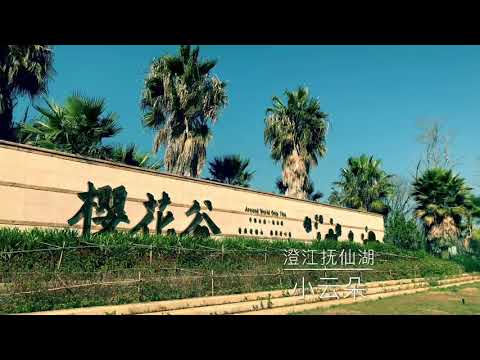 冬天的云南抚仙湖，湖水清澈，天空蔚蓝，云南旅游值得一去