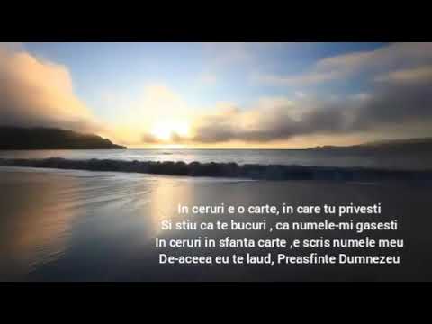 hundred Departure wound Puiu Chibici- In ceruri e o carte - YouTube