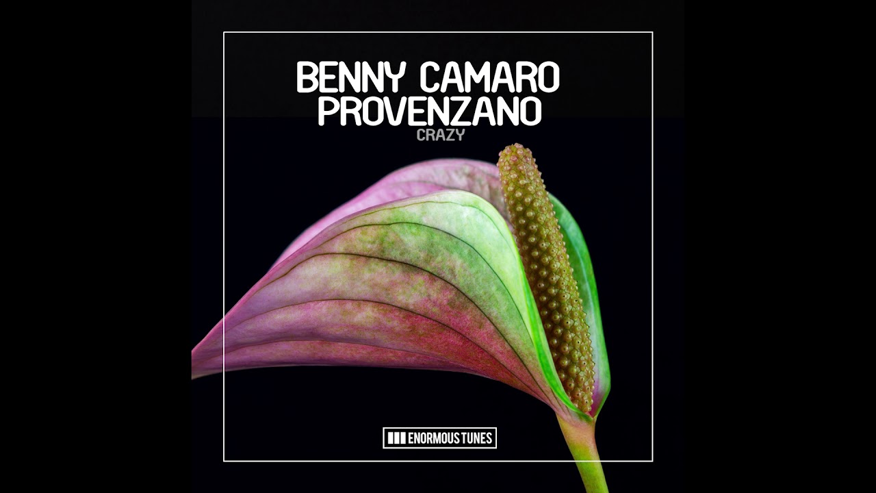 Benny Camaro & Provenzano - Crazy adlı videoyu YouTube'da izle Benny Camaro & Provenzano - Crazy adlı videoyu YouTube'da izle