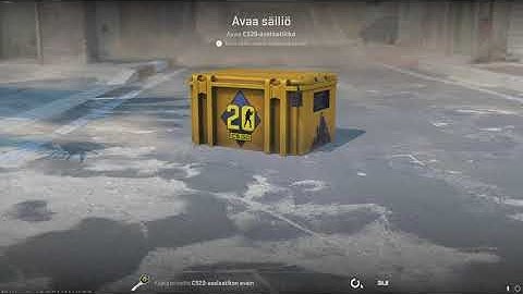DAY 3 OPENING CASES UNTIL I GET GOLD!