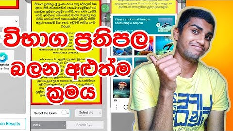 Newest way to see school exam results in DOENETS Sri Lanka