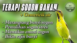 Terapi SOGON bahan untuk merangsang bunyi SOGON agar cepat bunyi #terapisogon #terapisogonagarbunyi