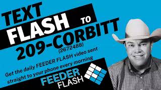 Feeder Flash 1/26:  Mud Bog