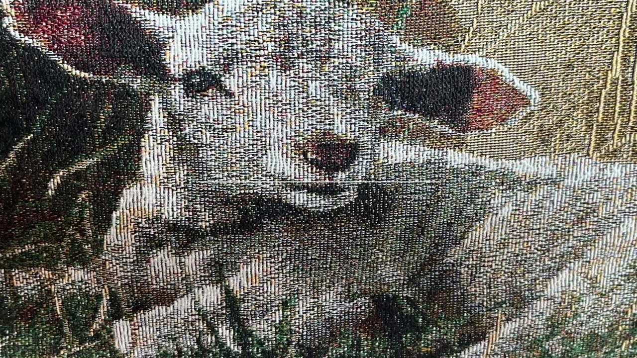 The Lord's My Shepherd