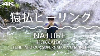 4K 猿払川の自然を眺める動画 北海道 旅気分映像 supernabura　Video of watching nature in Hokkaido, Japan