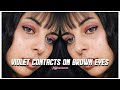 TopVue Color Violet Contact Lenses on Brown Eyes.