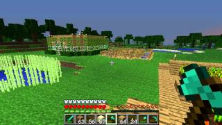 Minecraft Quality Test using FRAPS