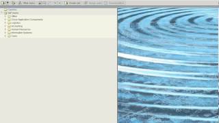 How to create custom templates when using Data Subset for use with SAP v6 1d