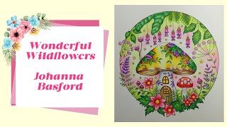 Coloring in the  New Book by Johanna Basford - Wonderful Wildflöwers screenshot 4