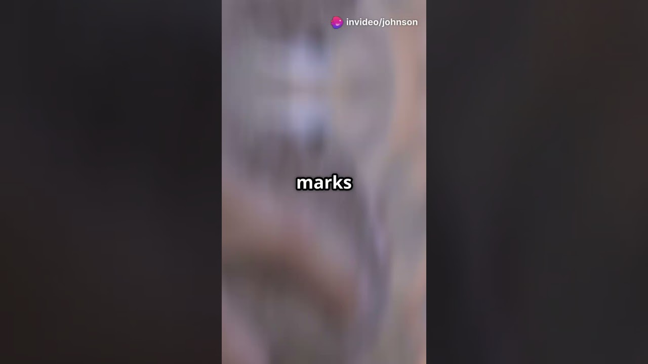 The Unsolved Mystery of Longyou Caves!  