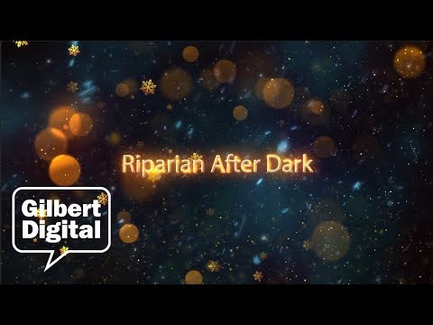 Vidéo: Riparian After Dark Holiday Lights à Gilbert, Arizona