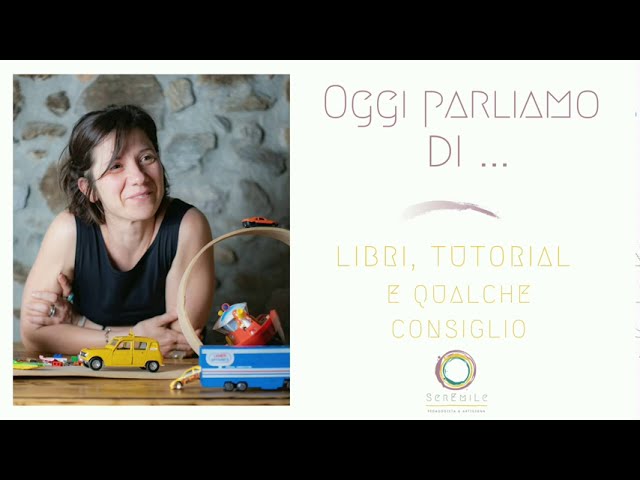 Recensione libro Anselmo va a scuola di Giovanna Zoboli e Simona Mulazzani  - Ed. Topipittori 