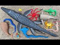 Roblox Sea Monster: Bloop, Sea Eater, Kraken, Godzilla, El Gran Maja, Leviathan, Mosasaurus, EPS 01.