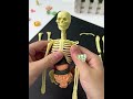 Human Anatomy 3D Puzzle Kids Educational Skeleton Organ Toy