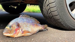 Marshmallow vs Car Experiment | ASMR Crushing Crunchy & Soft Things by car | Test Perfect how to screenshot 4