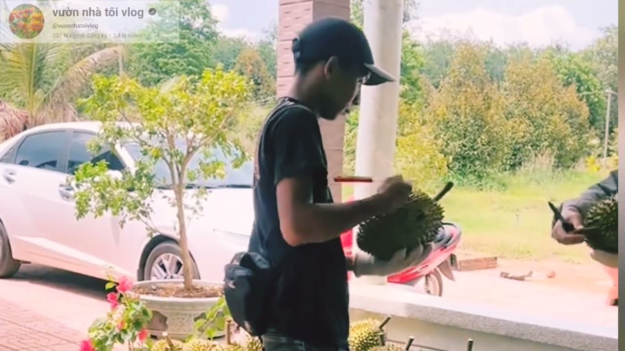  nhiều nhà vườn xô lùa ri6 giá 70k tại tiền giang 