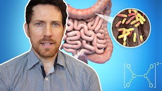Oxalobacter: The Oxalate Eating Gut Microbe Connected to Longevity by Mic the Vegan 17,145 views 2 weeks ago 16 minutes