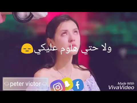 اديني رجعتلك اديني بين اديكي عمرو دياب