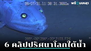 เฉลยตัวจริงของสัตว์ประหลาดจากใต้น้ำใน 6 คลิปไวรัล ภาค 2