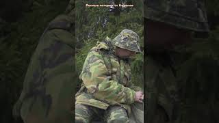 Поход-разведка по грибы | Красота природы | Следы деятельности бобра