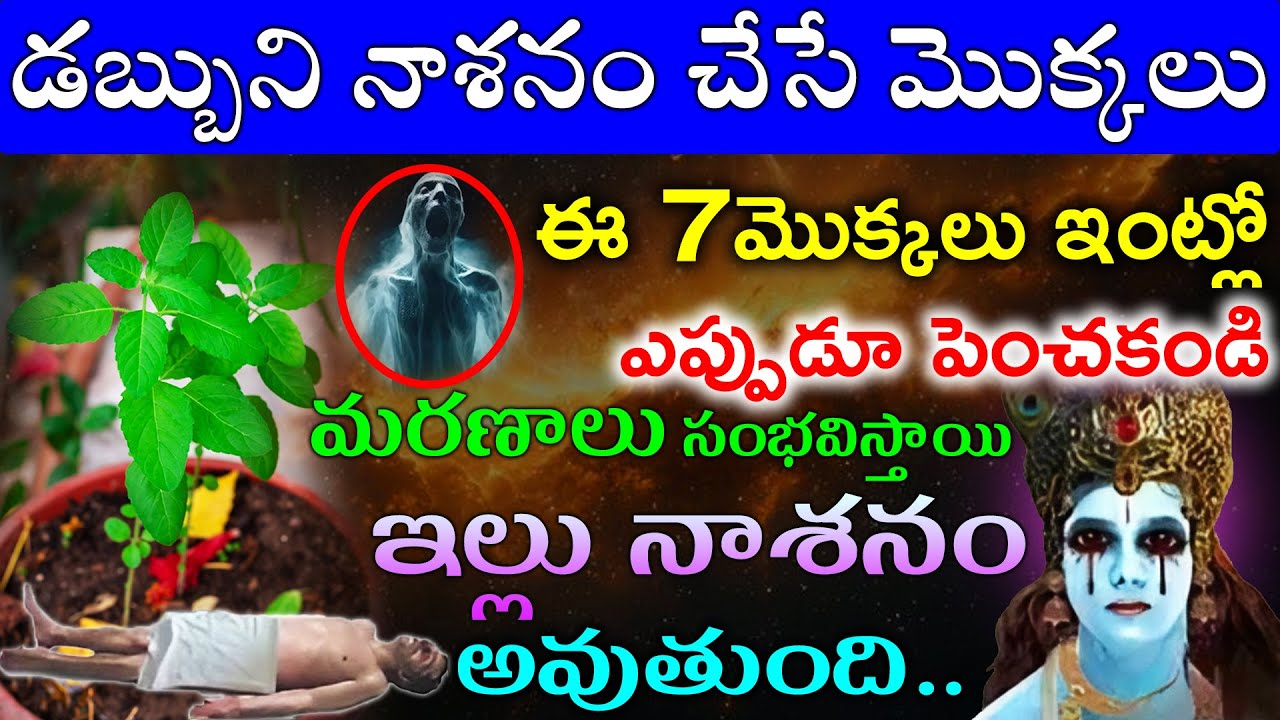 డబ్బుని నాశనం చేసే మొక్కలు ఈ 7మొక్కలు ఇంట్లో ఎప్పుడూ పెంచకండి లేదంటే మరణాలు సంభవిస్తాయి