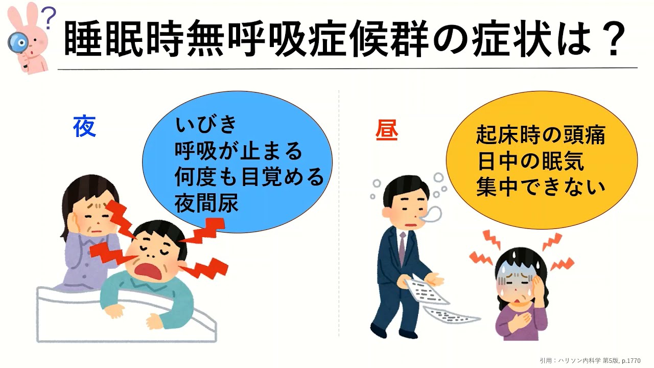 SAS（睡眠時無呼吸症候群）／（学生制作動画）