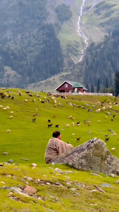 Arre ree arre ree kya huwa instrumental ringtone