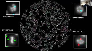 Nucleotide Pool: 2021 Image Awards Winner
