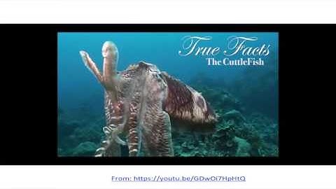 UNL SCICOMM 2015 - Humor as a Learning Tool